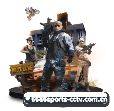 媒体矩阵简介（6686Sports）